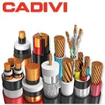 Dây điện cadivi 3.5